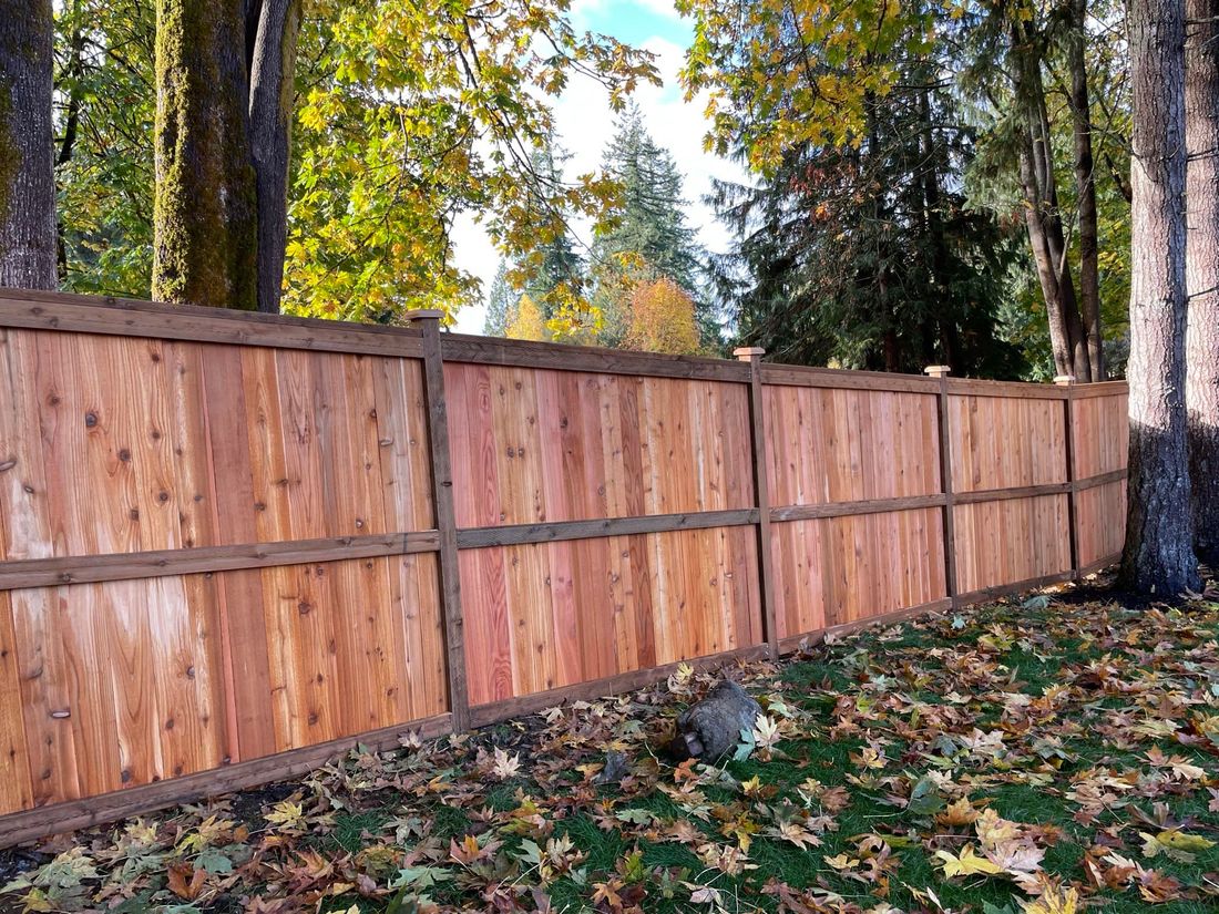 Long run of cedar privacy fence with trim in autumn