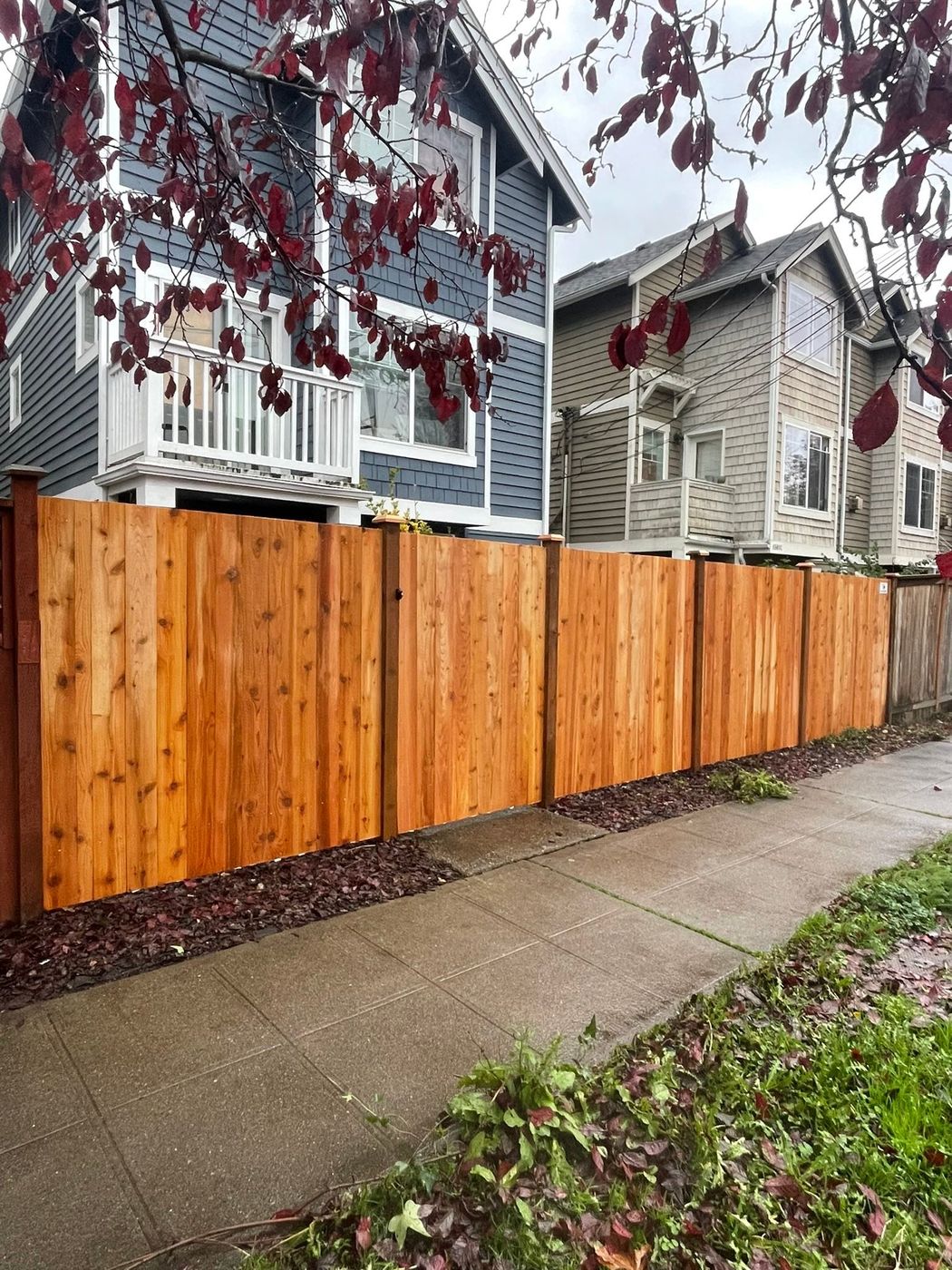 Cedar privacy fence along a sidewalk in a newer neighborhood