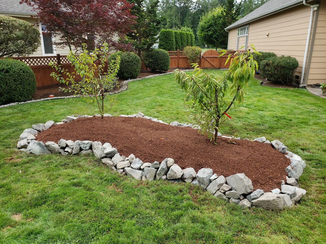 New mulched planting bed with a rock border and young trees